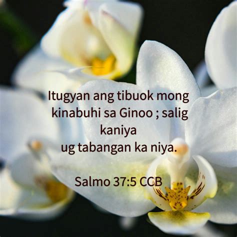 faith meaning in bisaya